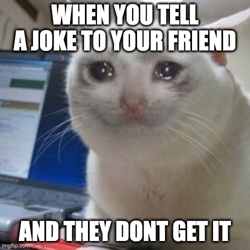pain. | WHEN YOU TELL A JOKE TO YOUR FRIEND; AND THEY DONT GET IT | image tagged in crying cat | made w/ Imgflip meme maker