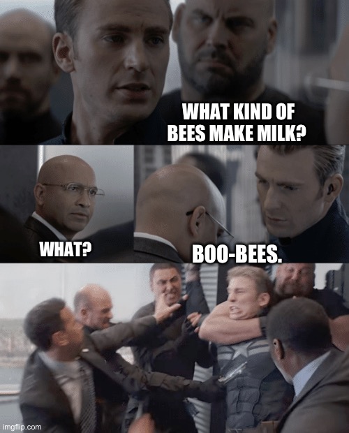 Captain America Milk Bees | WHAT KIND OF BEES MAKE MILK? WHAT? BOO-BEES. | image tagged in captain america elevator | made w/ Imgflip meme maker