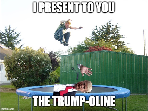 Bought a new trampoline. Something feels... off | I PRESENT TO YOU; THE TRUMP-OLINE | image tagged in donald trump,trampoline,trump | made w/ Imgflip meme maker