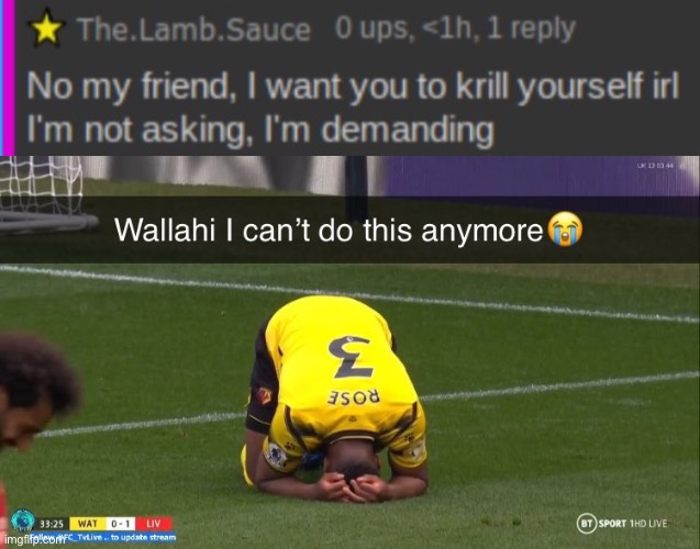 image tagged in the lamb sauce comment,i can't do this anymore | made w/ Imgflip meme maker