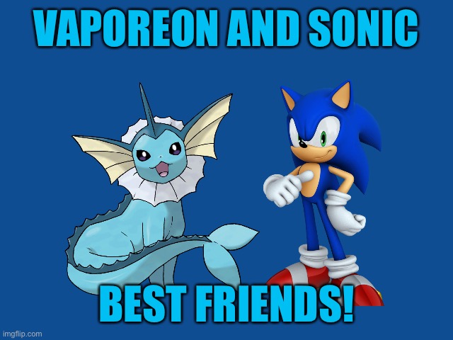 Sonic and Vaporeon: the ultimate dynamic duo! | VAPOREON AND SONIC; BEST FRIENDS! | image tagged in slate blue solid color background,crossover,pokemon,sonic the hedgehog | made w/ Imgflip meme maker