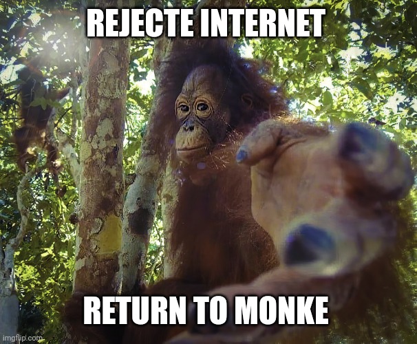 Return to monke (clean version) | REJECTE INTERNET RETURN TO MONKE | image tagged in return to monke clean version | made w/ Imgflip meme maker
