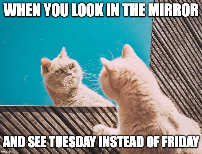tuesday in the mirror | WHEN YOU LOOK IN THE MIRROR; AND SEE TUESDAY INSTEAD OF FRIDAY | image tagged in tuesday | made w/ Imgflip meme maker