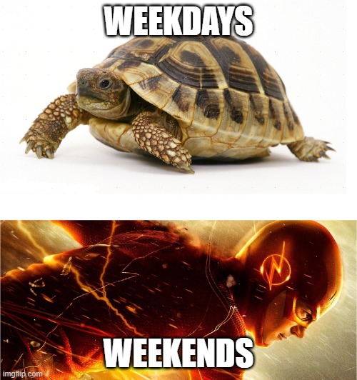 So relatable ? | WEEKDAYS; WEEKENDS | image tagged in slow vs fast meme | made w/ Imgflip meme maker