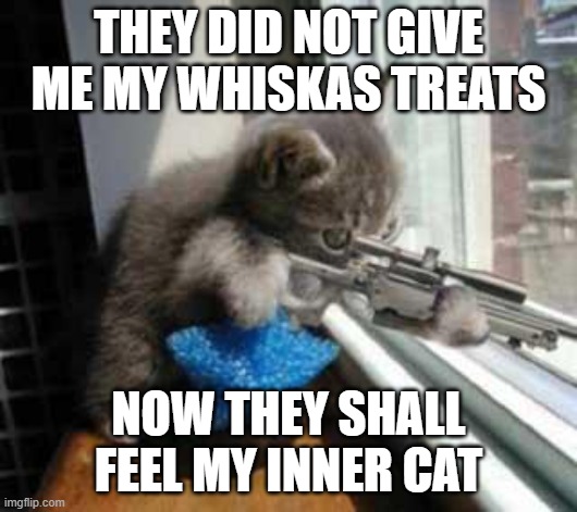 CatSniper | THEY DID NOT GIVE ME MY WHISKAS TREATS; NOW THEY SHALL FEEL MY INNER CAT | image tagged in catsniper | made w/ Imgflip meme maker