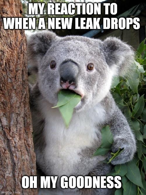 Surprised koala | MY REACTION TO WHEN A NEW LEAK DROPS; OH MY GOODNESS | image tagged in memes,surprised koala,funny memes,surprised leaked,funny | made w/ Imgflip meme maker