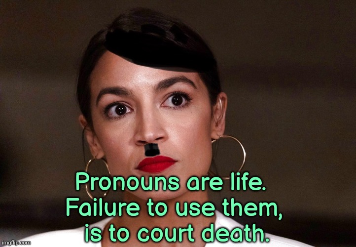 Dictator Dem | Pronouns are life. 
Failure to use them,
 is to court death. | image tagged in dictator dem,pronouns,gender identity,woke,liberals,gender confusion | made w/ Imgflip meme maker