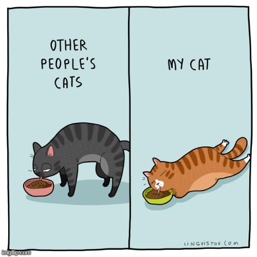A Cat Guy's Way Of Thinking | image tagged in memes,comics/cartoons,cats,eating,mine,expectation vs reality | made w/ Imgflip meme maker