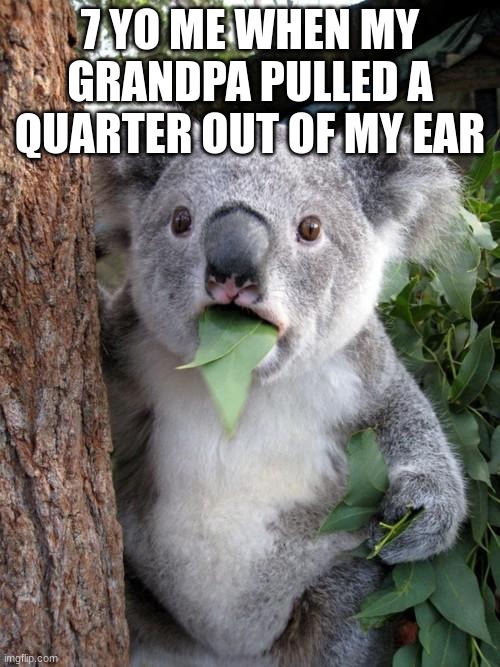 were rich! | 7 YO ME WHEN MY GRANDPA PULLED A QUARTER OUT OF MY EAR | image tagged in memes,surprised koala,koala,grandpa | made w/ Imgflip meme maker