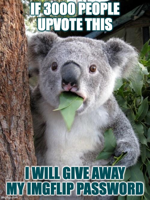 I will | IF 3000 PEOPLE UPVOTE THIS; I WILL GIVE AWAY MY IMGFLIP PASSWORD | image tagged in memes,surprised koala,you dont have to upvote | made w/ Imgflip meme maker
