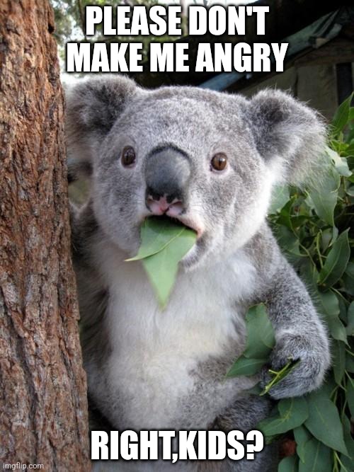 Don't make me angry oay? | PLEASE DON'T MAKE ME ANGRY; RIGHT,KIDS? | image tagged in memes,surprised koala | made w/ Imgflip meme maker