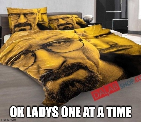 one at a time when you have breaking bad bed | OK LADYS ONE AT A TIME | image tagged in breaking bed | made w/ Imgflip meme maker