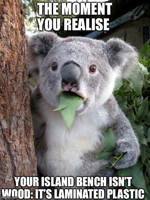 Surprised Koala | THE MOMENT YOU REALISE; YOUR ISLAND BENCH ISN’T WOOD: IT’S LAMINATED PLASTIC | image tagged in memes,surprised koala | made w/ Imgflip meme maker