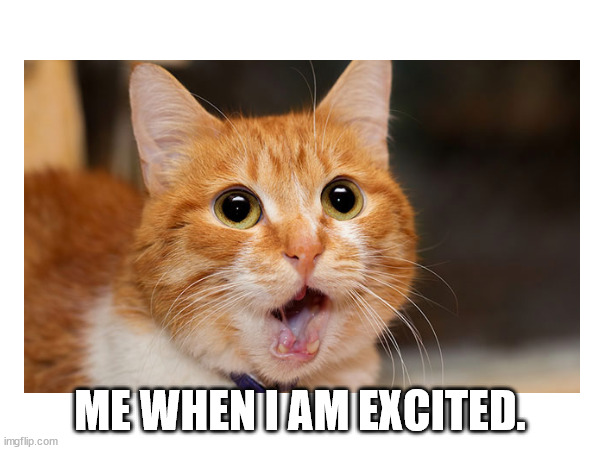 Me when I am excited | ME WHEN I AM EXCITED. | image tagged in cats | made w/ Imgflip meme maker