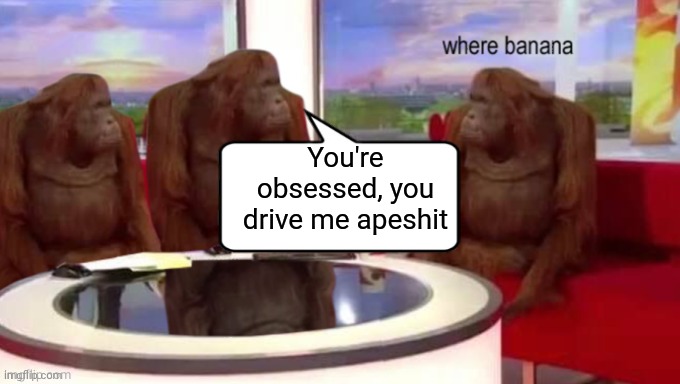 You're obsessed, you drive me apeshit | made w/ Imgflip meme maker