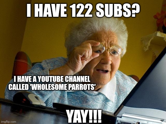 Grandma Finds The Internet Meme | I HAVE 122 SUBS? I HAVE A YOUTUBE CHANNEL CALLED 'WHOLESOME PARROTS'; YAY!!! | image tagged in memes,grandma finds the internet | made w/ Imgflip meme maker