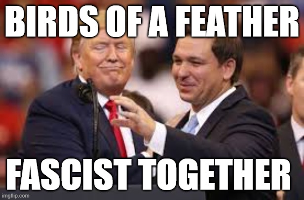 Trump and DeSantis | BIRDS OF A FEATHER; FASCIST TOGETHER | image tagged in trump,desantis,donald trump and ron desantis,florida,fascist | made w/ Imgflip meme maker