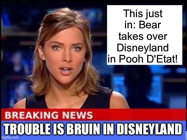 Disney | This just in: Bear takes over Disneyland in Pooh D'Etat! TROUBLE IS BRUIN IN DISNEYLAND | image tagged in breaking news | made w/ Imgflip meme maker