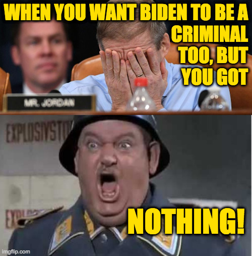 Lessons in failure. | WHEN YOU WANT BIDEN TO BE A
CRIMINAL
TOO, BUT
YOU GOT; NOTHING! | image tagged in sgt schultz shouting,memes,jim jordan | made w/ Imgflip meme maker