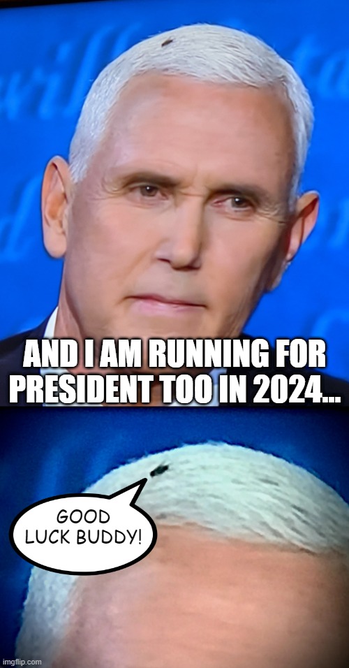 Mikey 2024 | AND I AM RUNNING FOR PRESIDENT TOO IN 2024... GOOD LUCK BUDDY! | image tagged in mike pence fly,pence fly | made w/ Imgflip meme maker