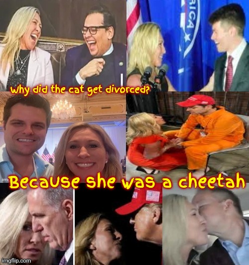 Ultra Mega Hypocrisy | Why did the cat get divorced? Because she was a cheetah | image tagged in adultry,cheater,the gay divorcee,deplorable,gop hypocrite,memes | made w/ Imgflip meme maker
