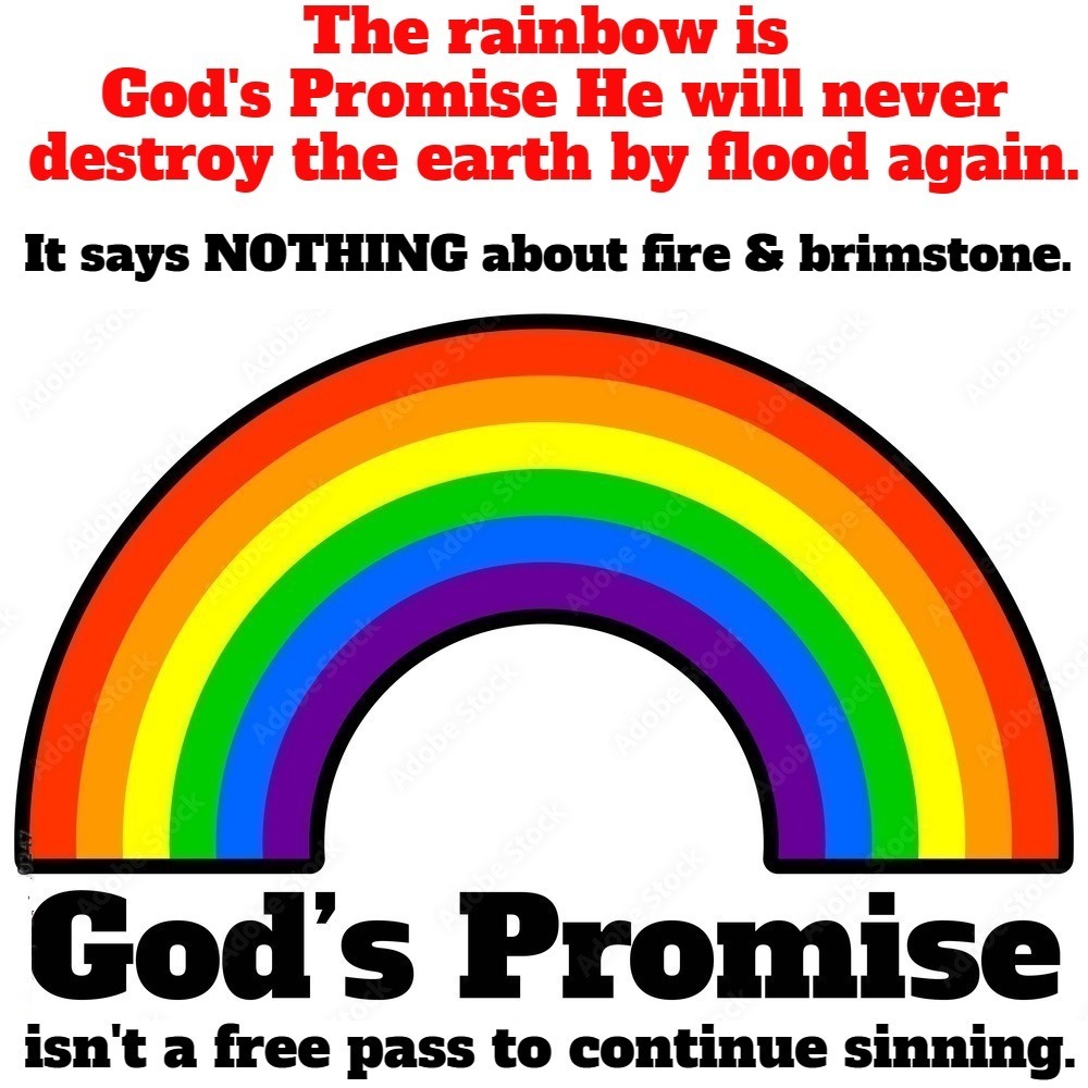 God's Promise | image tagged in noah's ark,noah's flood,fire and fury,fire and brimstone,sodom and gomorrah,repent | made w/ Imgflip meme maker