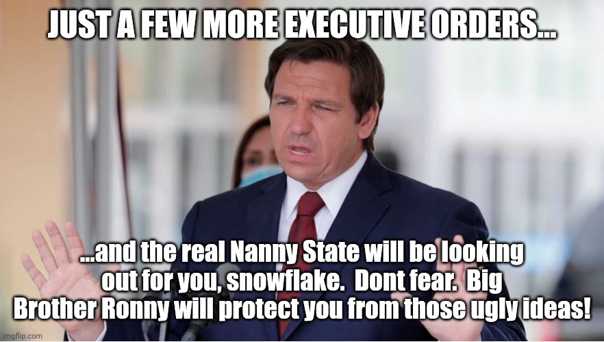 Baghdad Desantis | JUST A FEW MORE EXECUTIVE ORDERS... ...and the real Nanny State will be looking out for you, snowflake.  Dont fear.  Big Brother Ronny will  | image tagged in baghdad desantis | made w/ Imgflip meme maker