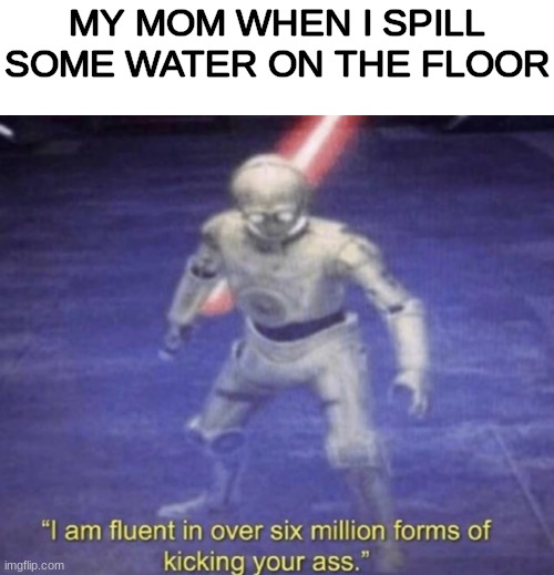 I am fluent in over six million forms of kicking your ass | MY MOM WHEN I SPILL SOME WATER ON THE FLOOR | image tagged in i am fluent in over six million forms of kicking your ass | made w/ Imgflip meme maker