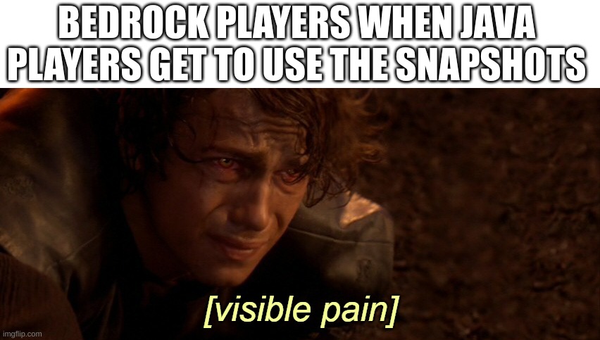 Good thing I got both now. | BEDROCK PLAYERS WHEN JAVA PLAYERS GET TO USE THE SNAPSHOTS | image tagged in visible pain,relatable,minecraft,memes,funny | made w/ Imgflip meme maker