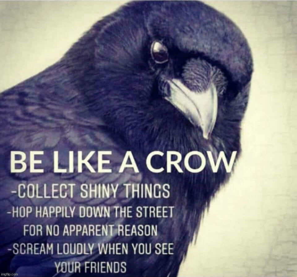 Like a crow | image tagged in wholesome | made w/ Imgflip meme maker