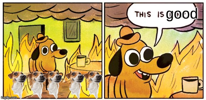 what the dog doin? | good | image tagged in memes,this is fine | made w/ Imgflip meme maker