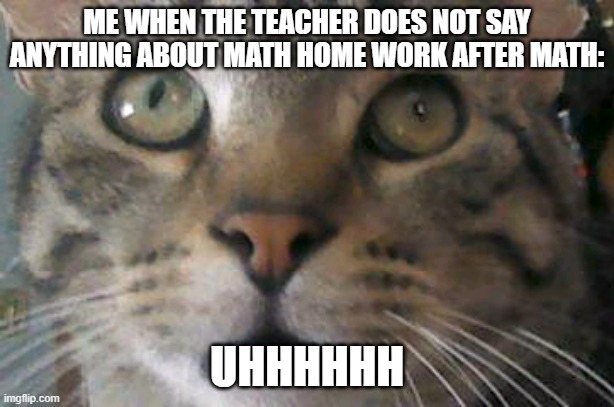 Me when the teacher does not say anything about math home work after math | ME WHEN THE TEACHER DOES NOT SAY ANYTHING ABOUT MATH HOME WORK AFTER MATH:; UHHHHHH | image tagged in scardy kitten,school,math,homework,scared | made w/ Imgflip meme maker