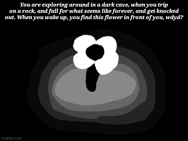 Have fun! | You are exploring around in a dark cave, when you trip on a rock, and fall for what seems like forever, and get knocked out. When you wake up, you find this flower in front of you, wdyd? | image tagged in void | made w/ Imgflip meme maker