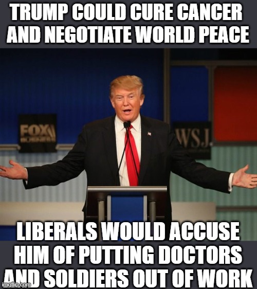 Liberal logic Trump Derangement syndrome | TRUMP COULD CURE CANCER 
AND NEGOTIATE WORLD PEACE; LIBERALS WOULD ACCUSE HIM OF PUTTING DOCTORS AND SOLDIERS OUT OF WORK | image tagged in liberal logic trump derangement syndrome | made w/ Imgflip meme maker