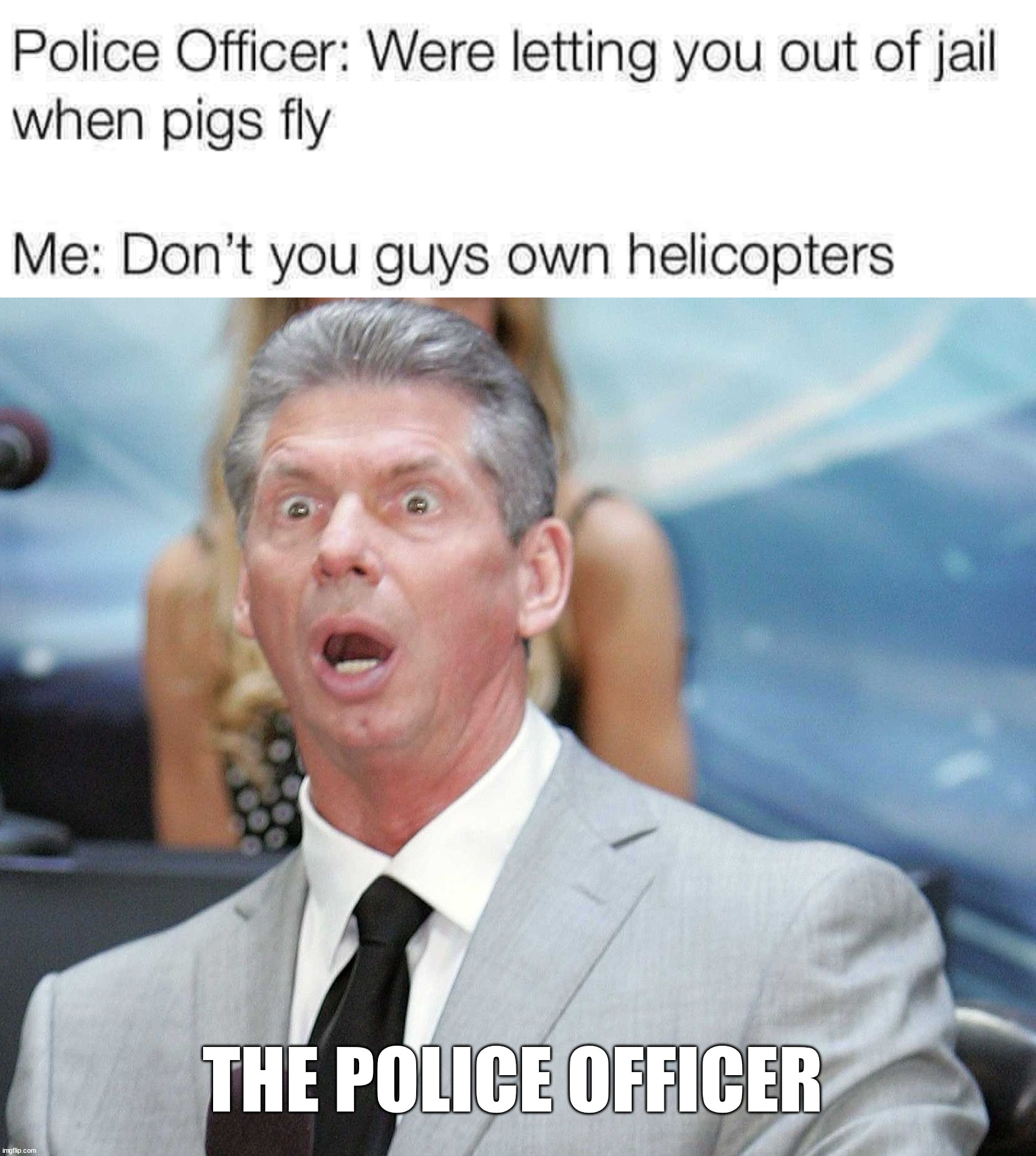 Got him there | THE POLICE OFFICER | image tagged in stunned,insult | made w/ Imgflip meme maker
