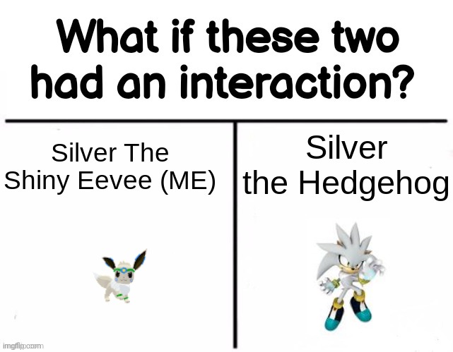 What if these two had an interaction? | Silver the Hedgehog; Silver The Shiny Eevee (ME) | image tagged in what if these two had an interaction | made w/ Imgflip meme maker