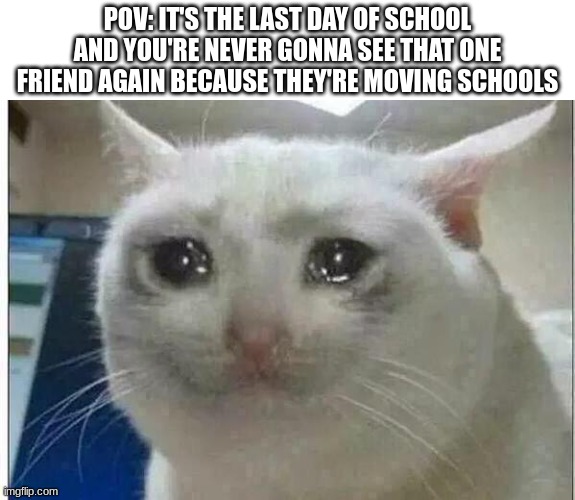 crying cat | POV: IT'S THE LAST DAY OF SCHOOL AND YOU'RE NEVER GONNA SEE THAT ONE FRIEND AGAIN BECAUSE THEY'RE MOVING SCHOOLS | image tagged in crying cat | made w/ Imgflip meme maker