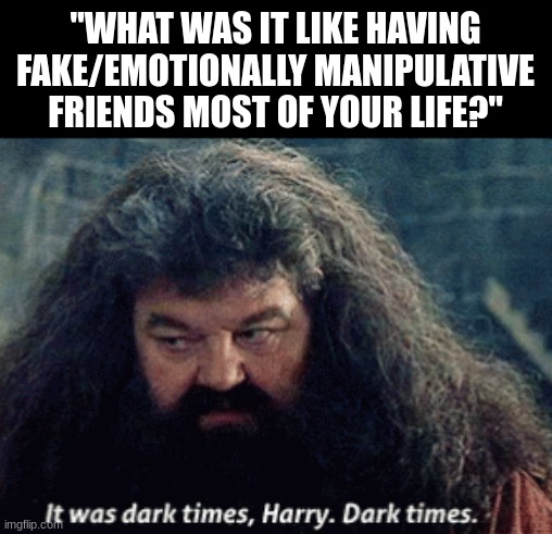 I'll be fine, it's just 1000 cuts | "WHAT WAS IT LIKE HAVING FAKE/EMOTIONALLY MANIPULATIVE FRIENDS MOST OF YOUR LIFE?" | image tagged in hagrid dark times | made w/ Imgflip meme maker