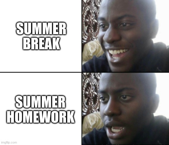 Happy / Shock | SUMMER BREAK; SUMMER HOMEWORK | image tagged in happy / shock | made w/ Imgflip meme maker