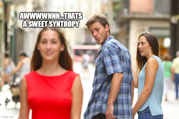 syntropy | AWWWWNNN...THATS A SWEET SYNTROPY | image tagged in memes,distracted boyfriend | made w/ Imgflip meme maker