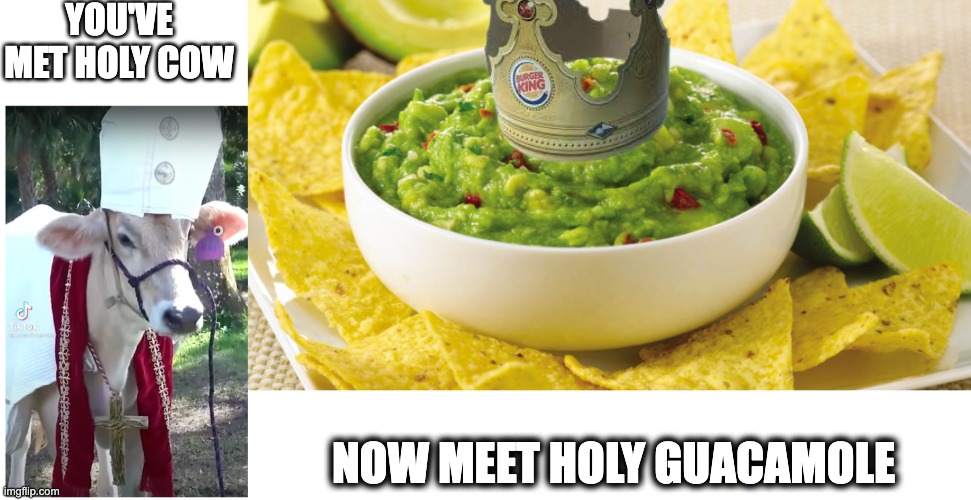 Holy What? | YOU'VE MET HOLY COW; NOW MEET HOLY GUACAMOLE | image tagged in fun,memes,holy,cow,guacamole,hashtag | made w/ Imgflip meme maker
