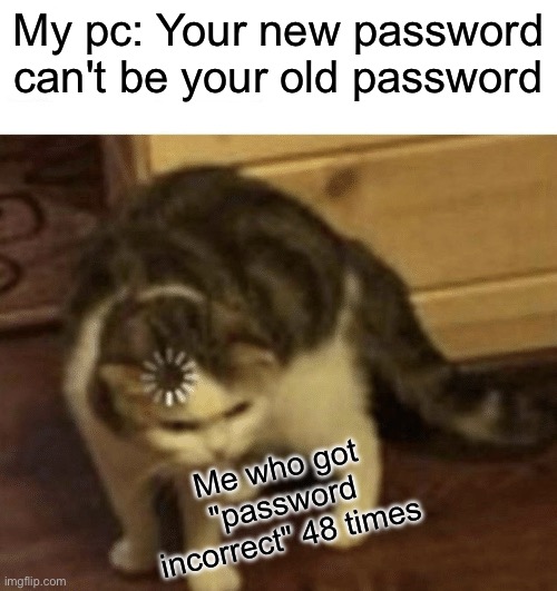 Bro, I'm confused in these situations... | My pc: Your new password can't be your old password; Me who got "password incorrect" 48 times | image tagged in cat loading template | made w/ Imgflip meme maker