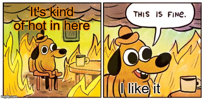 This Is Fine Meme | It's kind of hot in here; I like it | image tagged in memes,this is fine | made w/ Imgflip meme maker