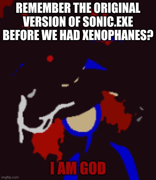 the first sonic.exe returns | REMEMBER THE ORIGINAL VERSION OF SONIC.EXE BEFORE WE HAD XENOPHANES? I AM GOD | image tagged in sonic exe reaching towards you,sonic exe,memes,horror | made w/ Imgflip meme maker