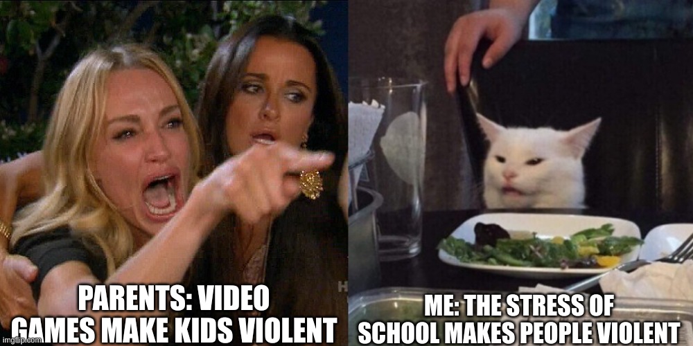 idk | PARENTS: VIDEO GAMES MAKE KIDS VIOLENT; ME: THE STRESS OF SCHOOL MAKES PEOPLE VIOLENT | image tagged in woman yelling at cat | made w/ Imgflip meme maker