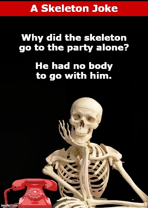A Skeleton Joke | image tagged in skeleton,joke,bad pun,funny,memes,alone | made w/ Imgflip meme maker