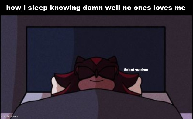 shadow sleep | how i sleep knowing damn well no ones loves me; @dontreadme | image tagged in shadow sleep | made w/ Imgflip meme maker