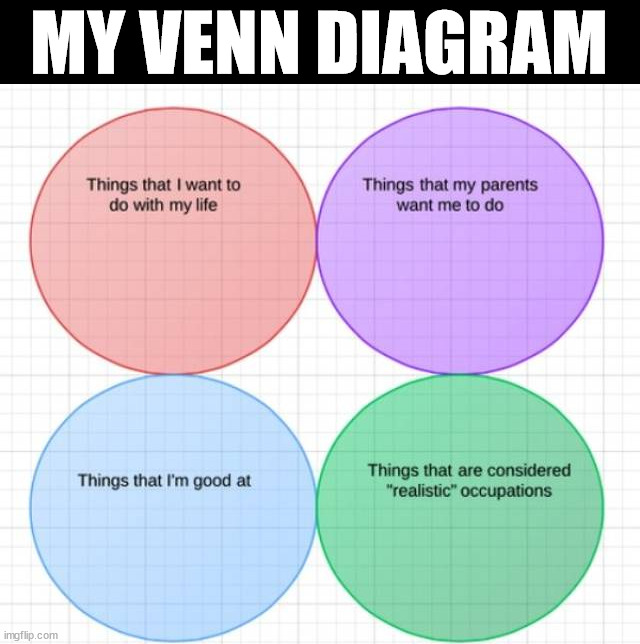 MY VENN DIAGRAM | image tagged in venn diagram | made w/ Imgflip meme maker