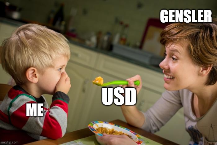Gensler Forcing Americans to the US Dollar | GENSLER; USD; ME | image tagged in gensler,usd,us dollar,sec,doj | made w/ Imgflip meme maker