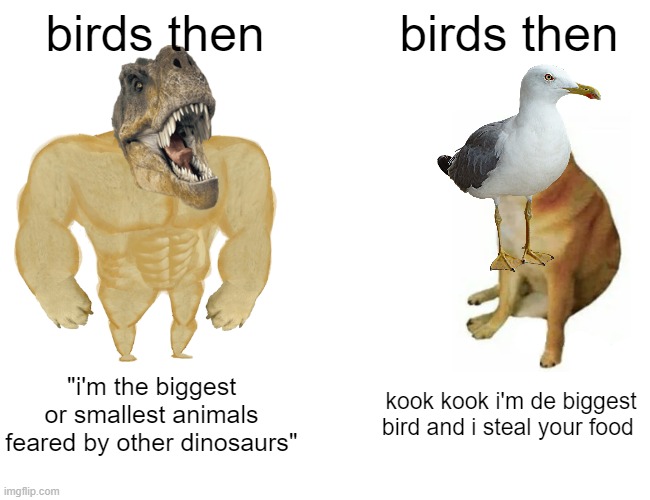 Buff Doge vs. Cheems Meme | birds then; birds then; "i'm the biggest or smallest animals feared by other dinosaurs"; kook kook i'm de biggest bird and i steal your food | image tagged in memes,buff doge vs cheems | made w/ Imgflip meme maker